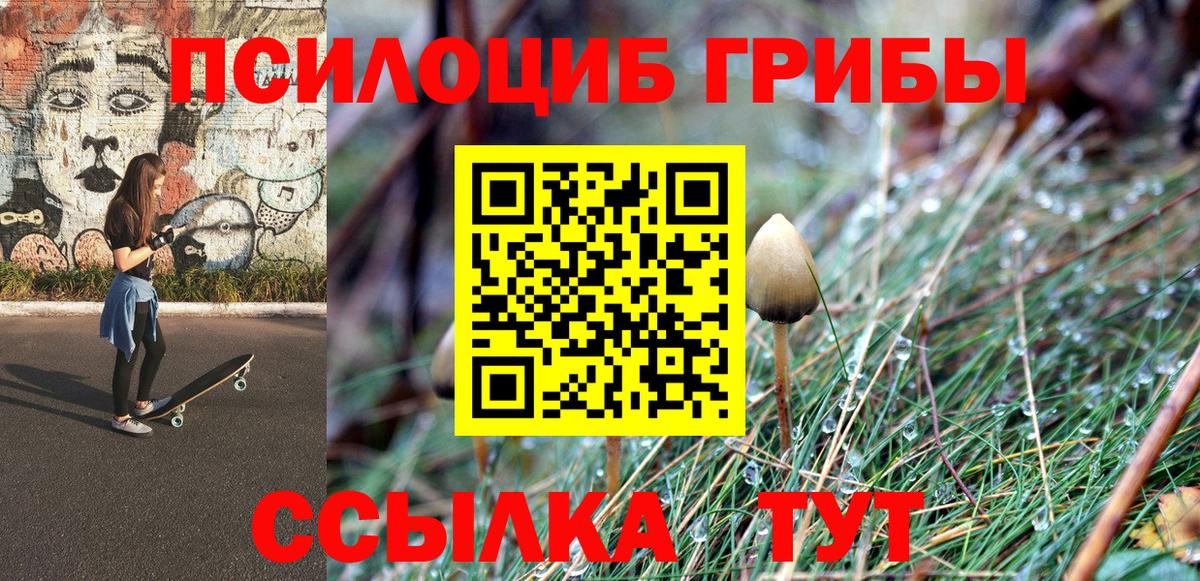 где купить   Вход с VPN  Галлюциногенные грибы ЛСД  Ртищево  Галлюциногенные грибы Psilocybe 