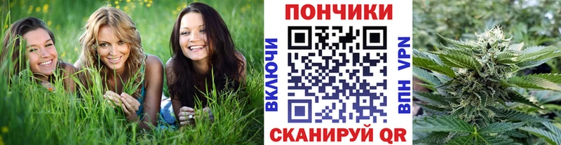 Бошки Шишки план  что такое наркотик  Ртищево 